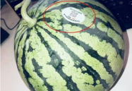 山西网红吃瓜,揭秘当地美食背后的故事